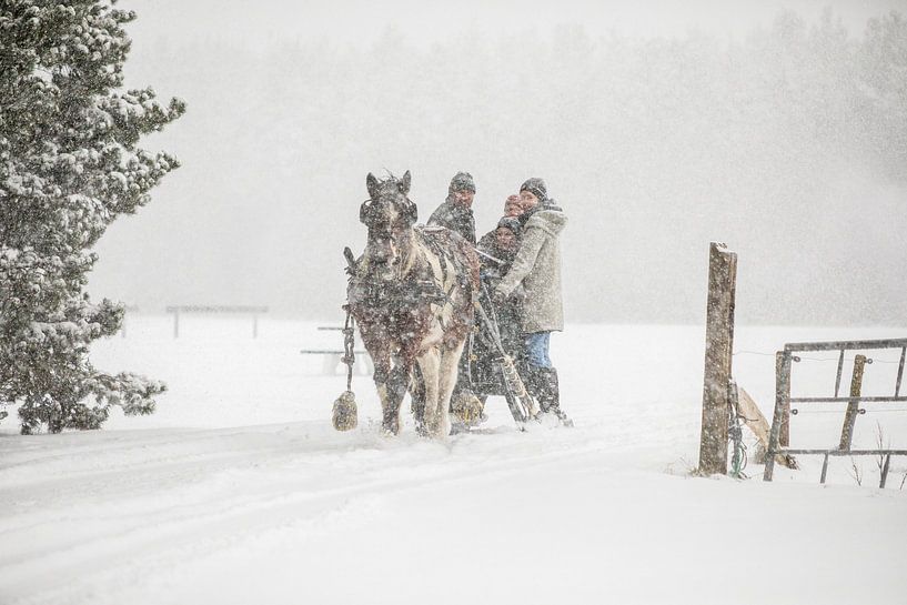 Ameland Pferdeschlitten von Nicole Nagtegaal