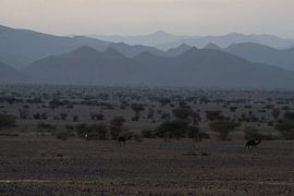 Mountain facets by Catch Chris