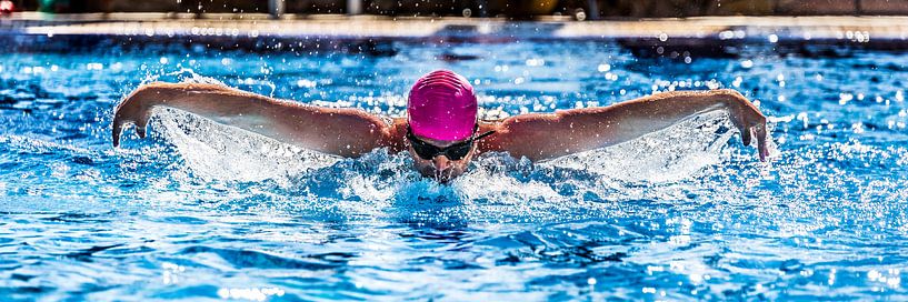 Delfinschwimmen von Uwe Merkel