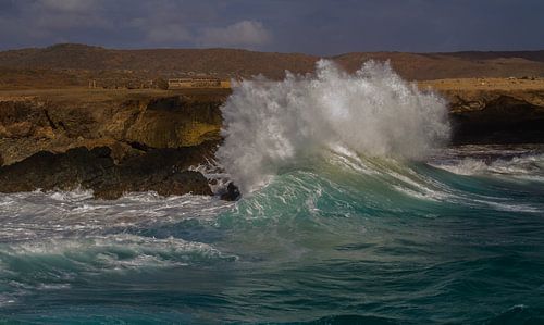 Vagues déferlantes sur la côte nord d'Aruba