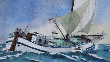 Sailing with the Brown Fleet