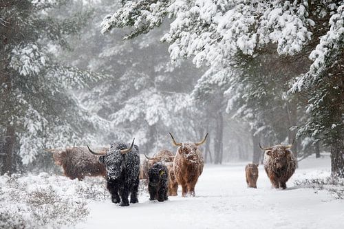Une famille sur la route pendant une tempête de neige