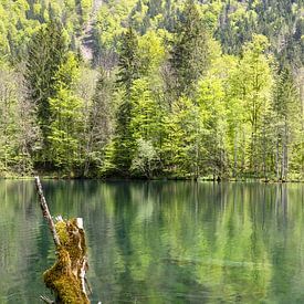 Christlessee in de Allgäu - Een spiegel van stilte van Walter G. Allgöwer
