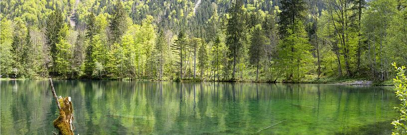 Christlessee in the Allgäu - A mirror of silence by Walter G. Allgöwer