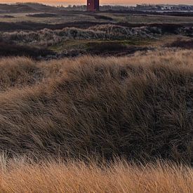 Westhoofd lighthouse before sunrise by Jacco van Son