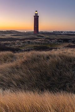 Westhoofd Leuchtturm vor Sonnenaufgang von Jacco van Son