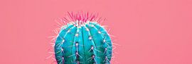 Cactus by Poster Art Shop