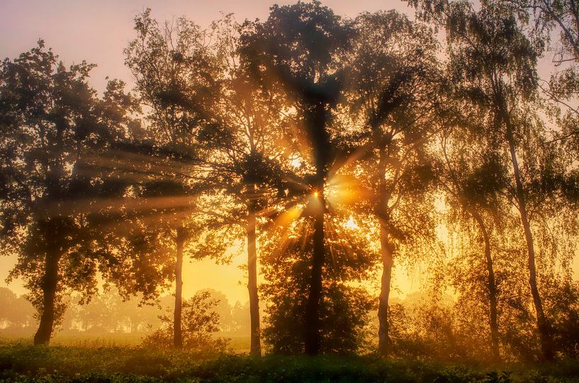 Zonsopkomst in Diessen van Laimute Kuriene