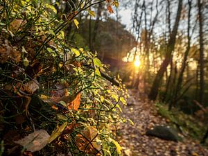 Großer Zschirnstein en Suisse saxonne - Coucher de soleil d'automne sur Pixelwerk