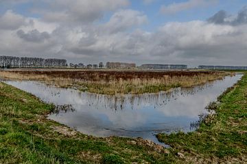Nieuwe Dordtse Biesbosch van Photobywim Willem Woudenberg