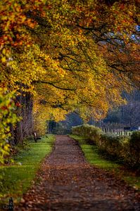 Amelisweerd im Herbst