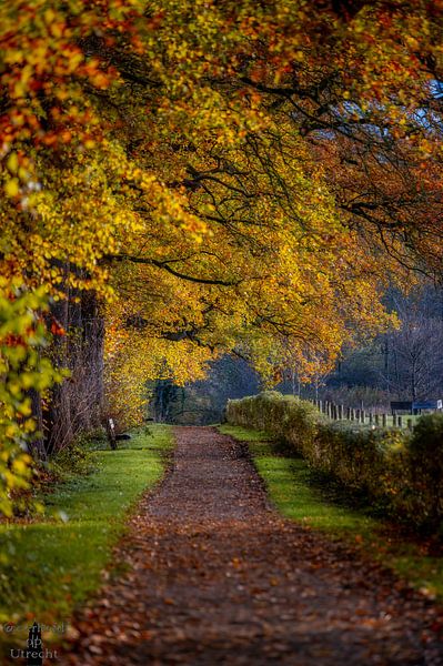 Amelisweerd in autumn by Verliefd op Utrecht