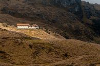 Ecuador: El Cajas National Park (Azuay) van Maarten Verhees thumbnail