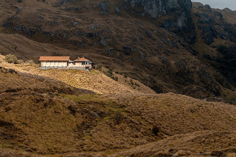 Ecuador: El Cajas National Park (Azuay) van Maarten Verhees