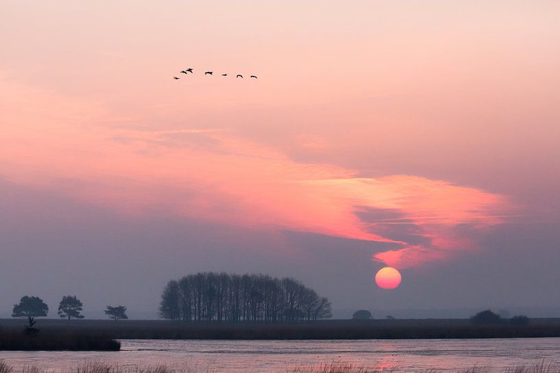 Sonnenaufgang über Davindsplassen von Anneke Hooijer