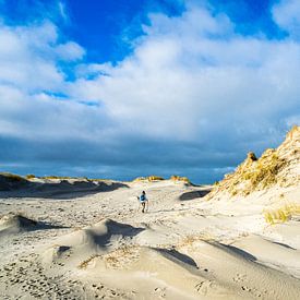 De duinen bij paal 18, Terschelling van Floris van Woudenberg