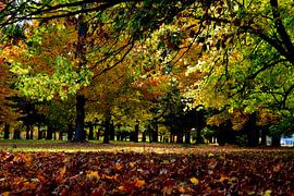 The park in autumn by Claude Laprise