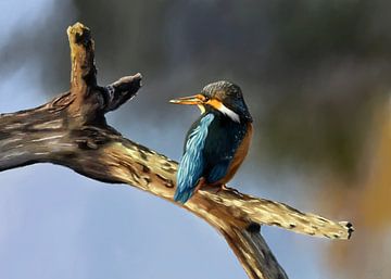 Kingfisher ijsvogel schilderij van W. Vos