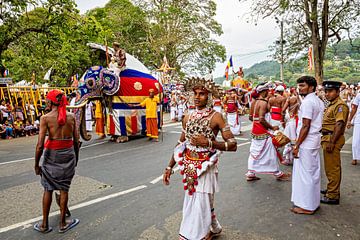 Das Perahera Festival in Kandy von Roland Brack