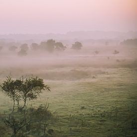 een groenig landschap met mist van Angelique Rademakers