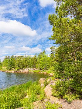 Ostseeküste mit Felsen und Bäumen bei Figeholm in Schweden von Rico Ködder
