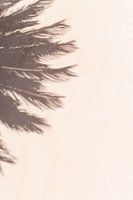 Palm schaduw