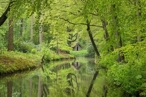 Huisje in het bos van Michel van Kooten