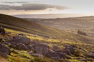 Wales by Marcel Bil thumbnail