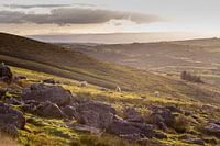 Wales