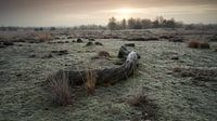 Loonse en Drunense Duinen 01