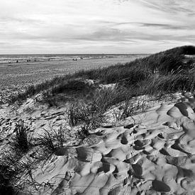 Paysage de dunes dans le Jutland au Danemark sur Silva Wischeropp