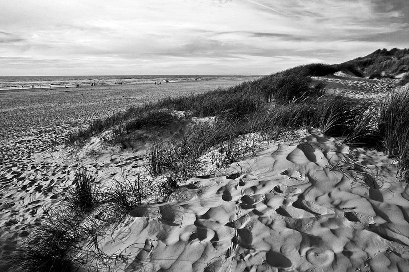 Duinlandschap in Jutland, Denemarken van Silva Wischeropp