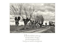 Knotwilgen by Beeld en Poëzie