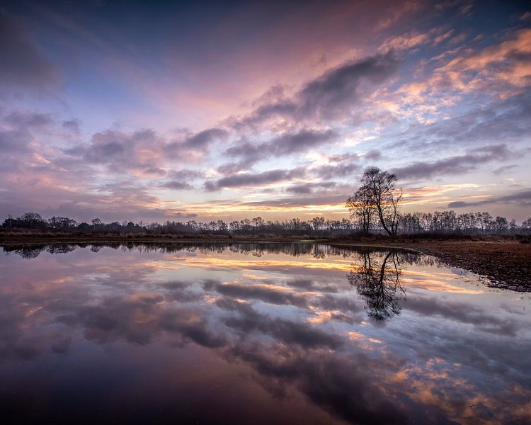 Landschaftsreflexion von Jan Linskens