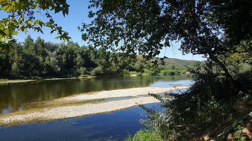 RIVER IN FRANCE SUMMER by Ivanovic Arndts
