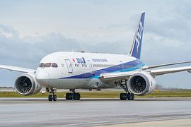 ANA (All Nippon Airways) Boeing 787-8.