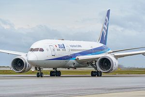 ANA (All Nippon Airways) Boeing 787-8. van Jaap van den Berg