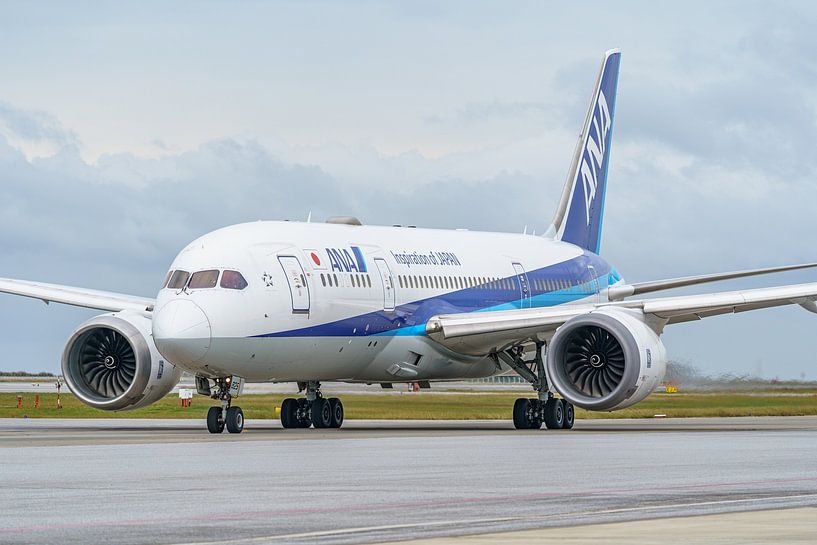 ANA (All Nippon Airways) Boeing 787-8. von Jaap van den Berg