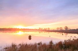 Fochteloërveen - Drenthe (Nederland) van Marcel Kerdijk