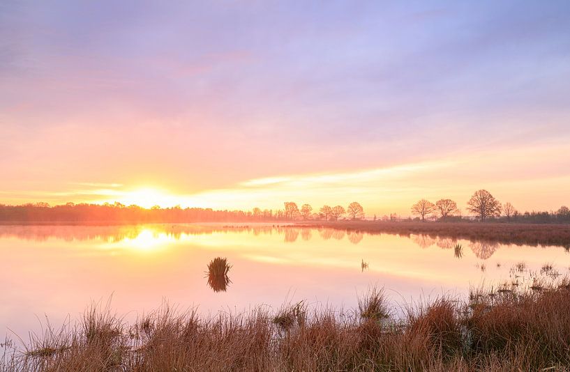 Fochteloërveen - Drenthe (Netherlands) by Marcel Kerdijk