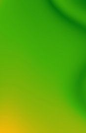 ÂME LIBRE by ÂME LIBRE STUDIO