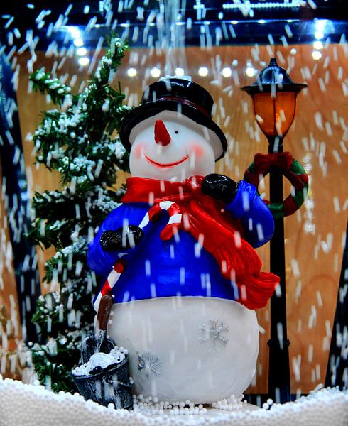 Sneeuwpop in de lantaarn van Edgar Schermaul