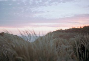 Analoog 35mm - Strandtent in de duinen tijdens zonsondergang - Den Haa van Tim als fotograaf