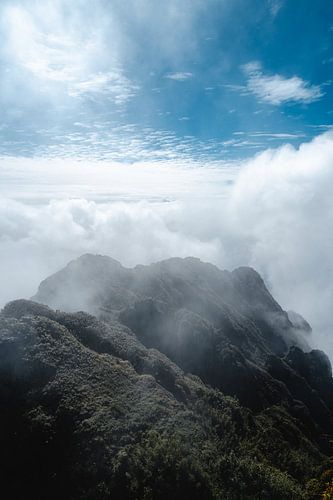 Fansipan summit, vietnam