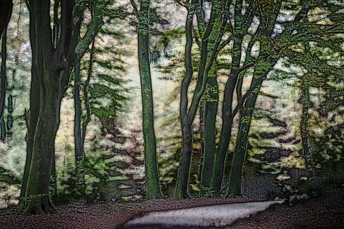 Dancing trees (2)