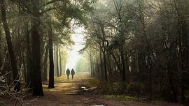 Boswandeling van Marko | Bestemming Buitenlucht