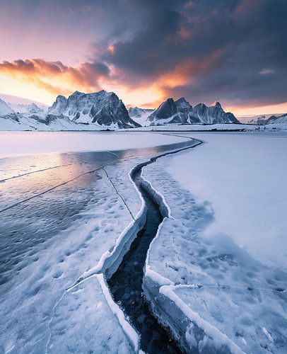 Winter fairy tale in a blaze of light