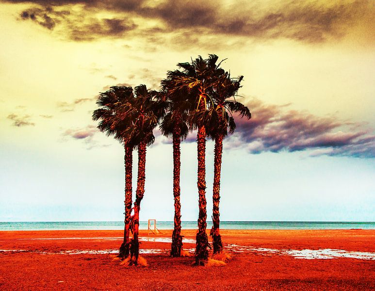 Palmbomen van Harrie Muis