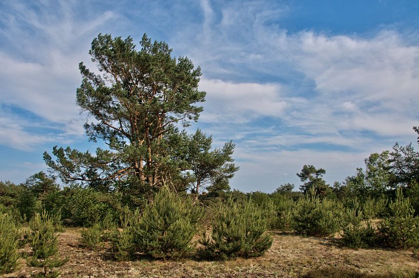 Koowijkerzand by ChrisWillemsen