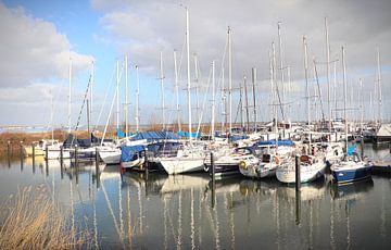 haven van Willemstad van Mirjam van Hoek